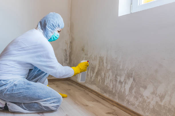 Mold Remediation specialist working in Fairview